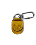 Coin pocket carabiner