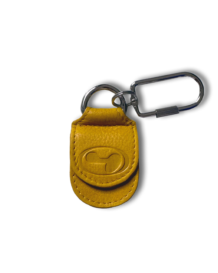 Coin pocket carabiner